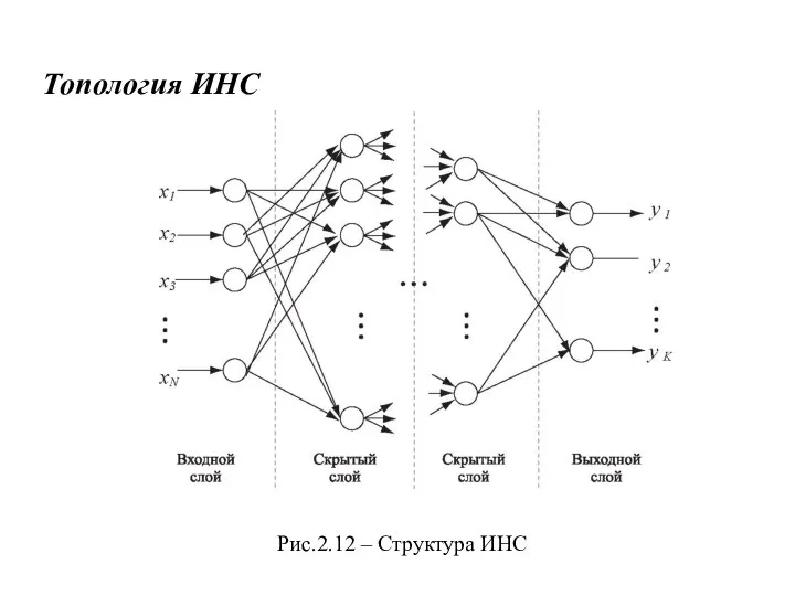 Топология ИНС Рис.2.12 – Структура ИНС