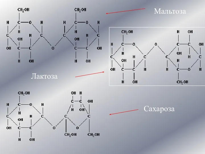 Мальтоза Лактоза Сахароза