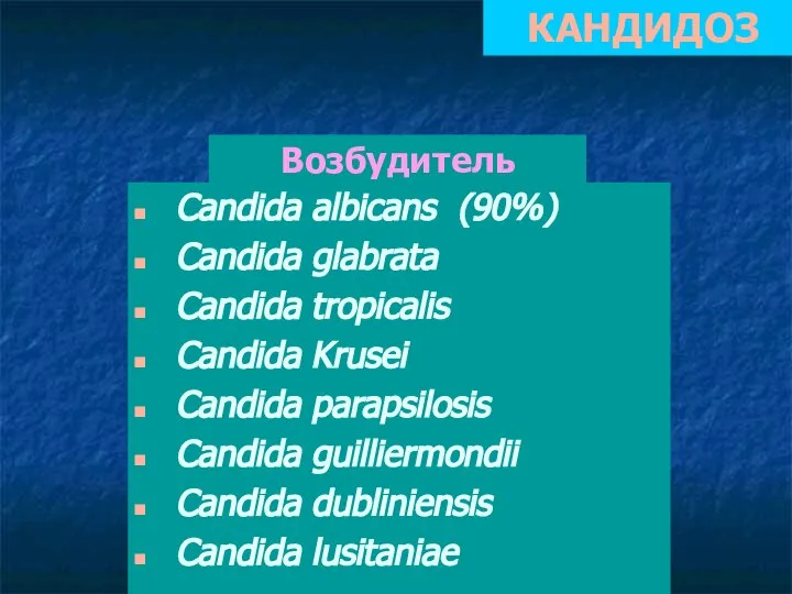 КАНДИДОЗ Candida albicans (90%) Candida glabrata Candida tropicalis Candida Krusei Candida