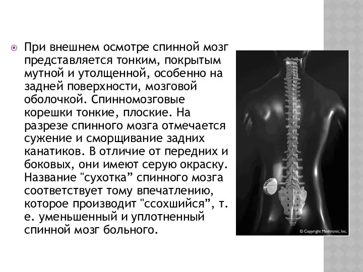 При внешнем осмотре спинной мозг представляется тонким, покрытым мутной и утолщенной,