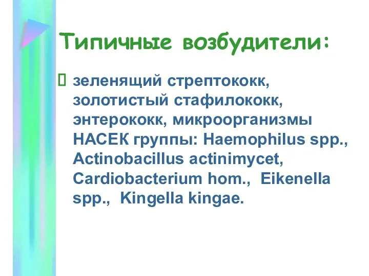 Типичные возбудители: зеленящий стрептококк, золотистый стафилококк, энтерококк, микроорганизмы НАСЕК группы: Haemophilus