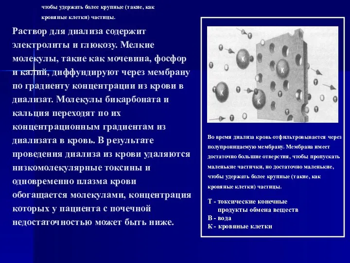 Во время диализа кровь отфильтровывается через полупроницаемую мембрану. Мембрана имеет достаточно