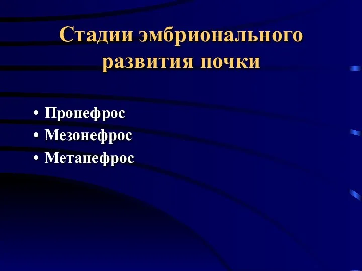 Стадии эмбрионального развития почки Пронефрос Мезонефрос Метанефрос