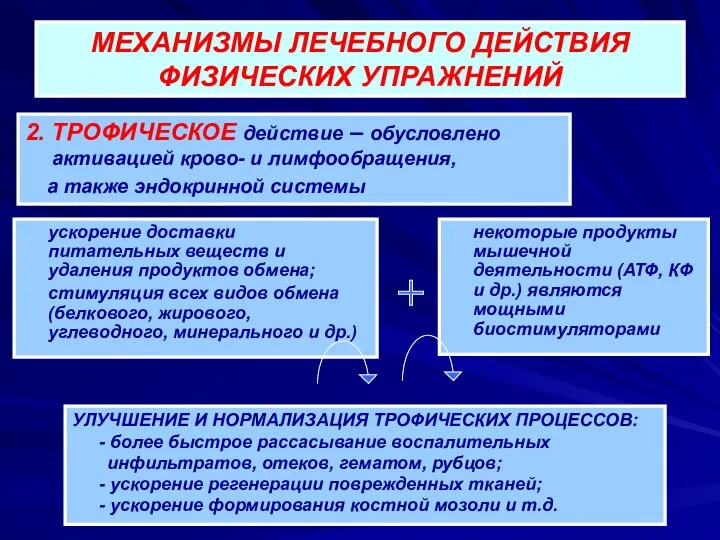 МЕХАНИЗМЫ ЛЕЧЕБНОГО ДЕЙСТВИЯ ФИЗИЧЕСКИХ УПРАЖНЕНИЙ 2. ТРОФИЧЕСКОЕ действие – обусловлено активацией