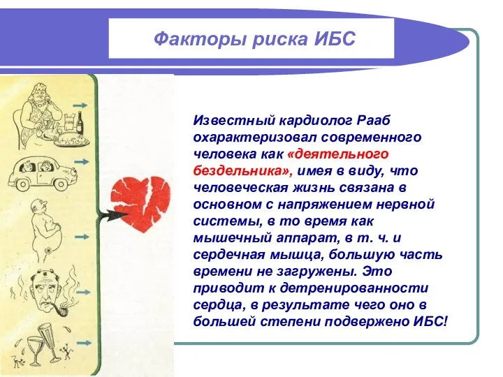 Факторы риска ИБС Известный кардиолог Рааб охарактеризовал современного человека как «деятельного