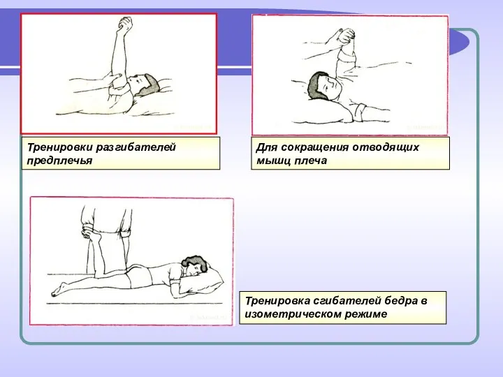 Тренировки разгибателей предплечья Для сокращения отводящих мышц плеча Тренировка сгибателей бедра в изометрическом режиме