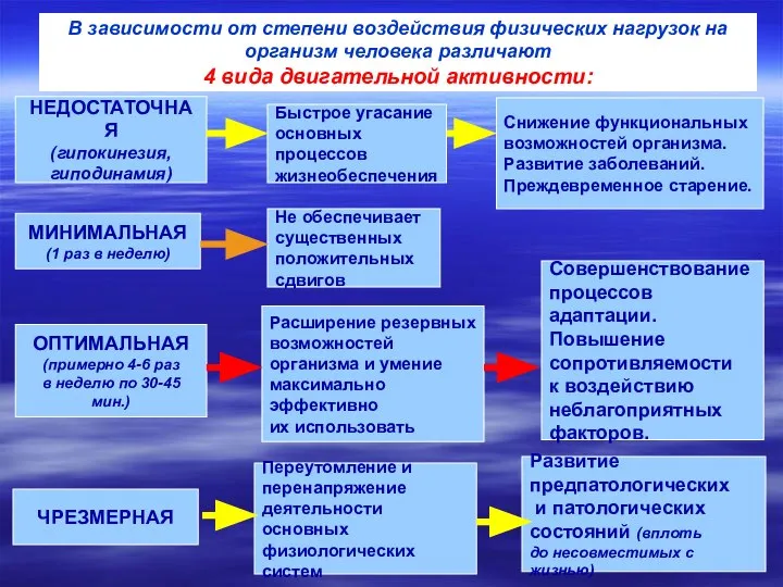 В зависимости от степени воздействия физических нагрузок на организм человека различают