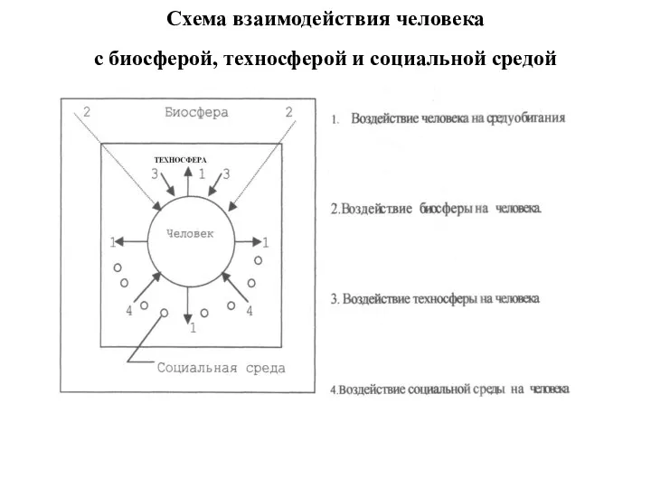 Схема взаимодействия человека с биосферой, техносферой и социальной средой