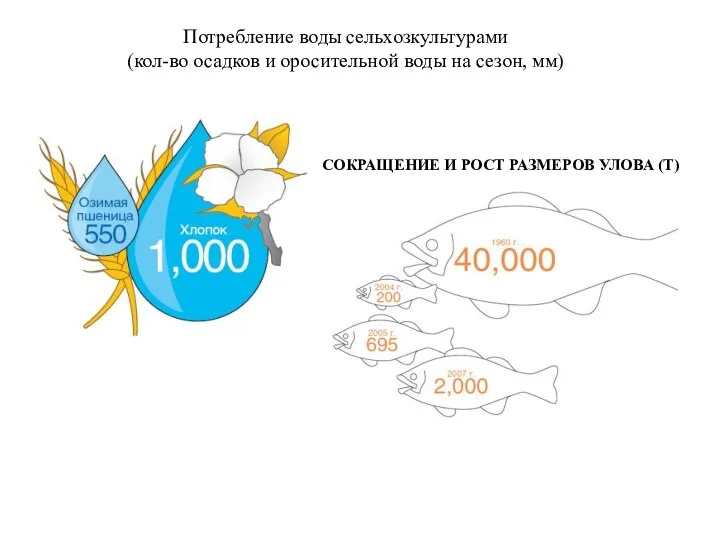 Потребление воды сельхозкультурами (кол-во осадков и оросительной воды на сезон, мм)