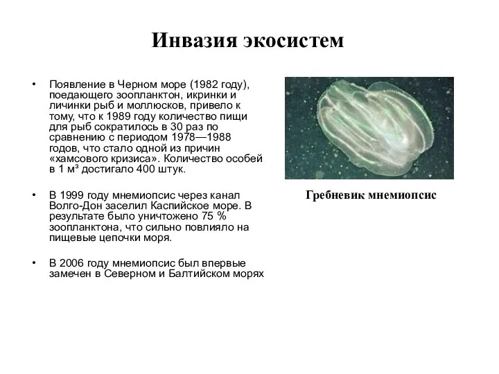 Инвазия экосистем Появление в Черном море (1982 году), поедающего зоопланктон, икринки