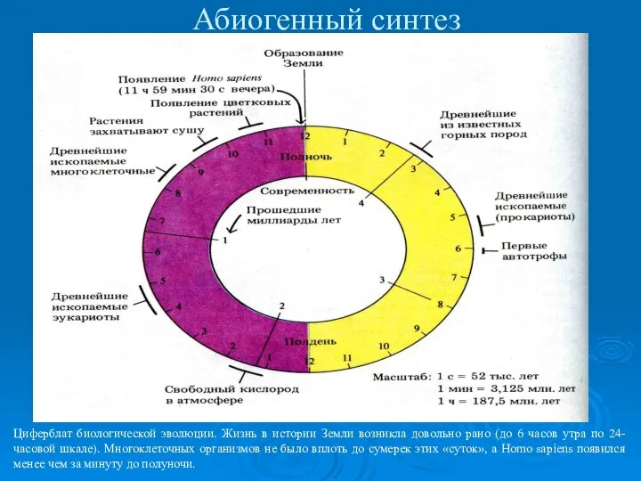 Абиогенный синтез Циферблат биологической эволюции. Жизнь в истории Земли возникла довольно