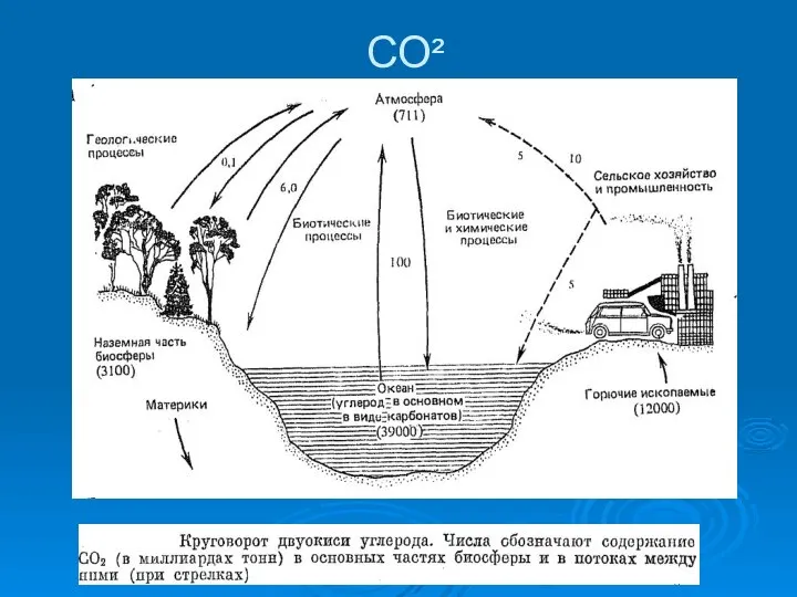 СО²