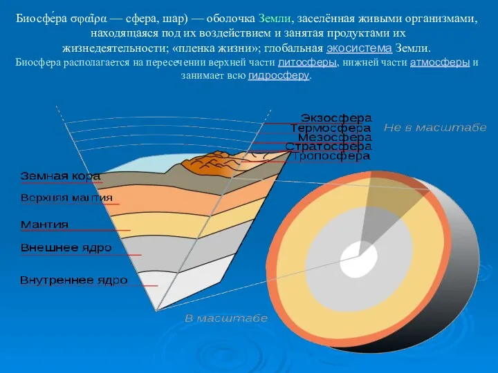 Биосфе́ра σφαῖρα — сфера, шар) — оболочка Земли, заселённая живыми организмами,