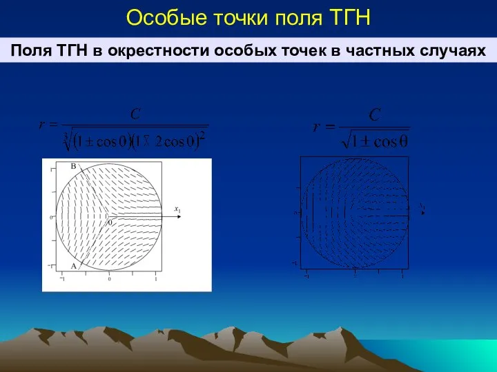 Особые точки поля ТГН Поля ТГН в окрестности особых точек в частных случаях