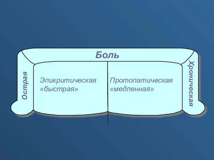 Боль Эпикритическая «быстрая» Протопатическая «медленная» Острая Хроническая