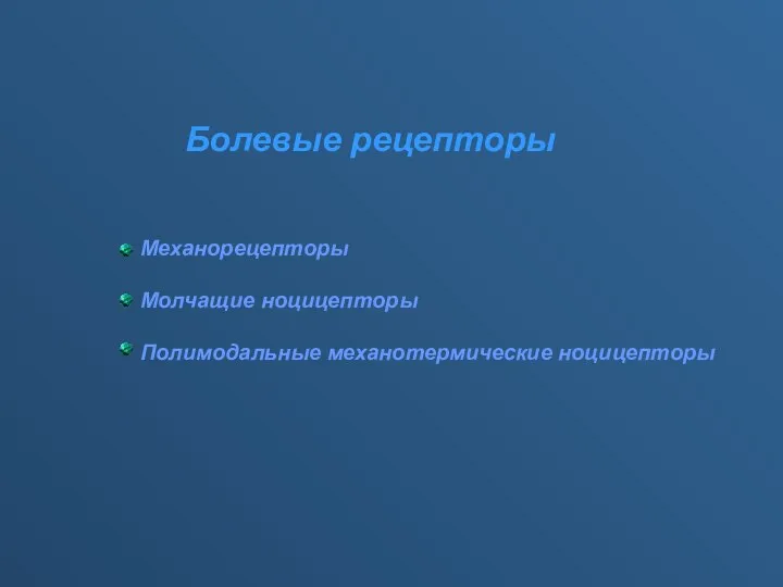 Болевые рецепторы Механорецепторы Молчащие ноцицепторы Полимодальные механотермические ноцицепторы