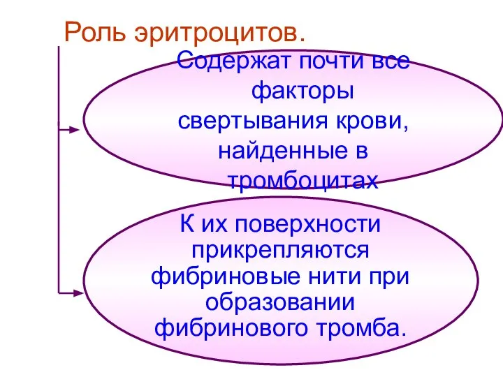 Содержат почти все факторы свертывания крови, найденные в тромбоцитах К их