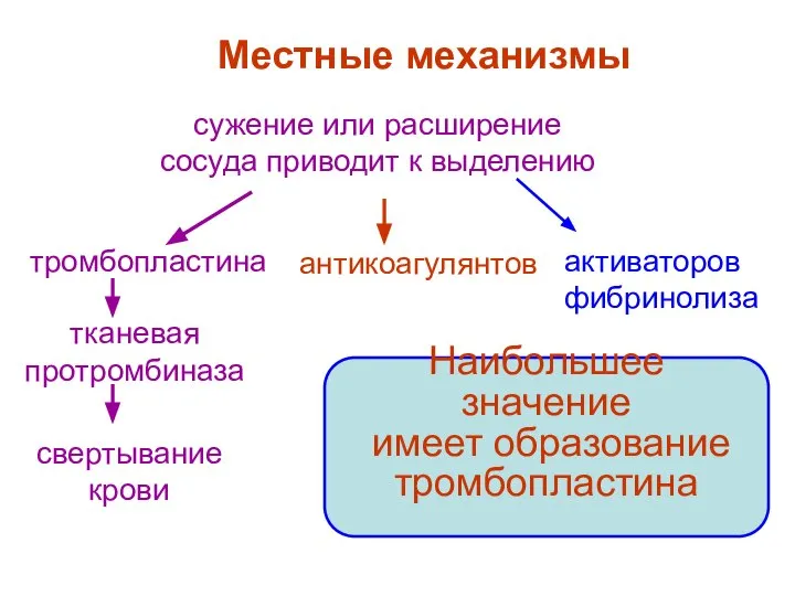 сужение или расширение сосуда приводит к выделению тромбопластина тканевая протромбиназа свертывание