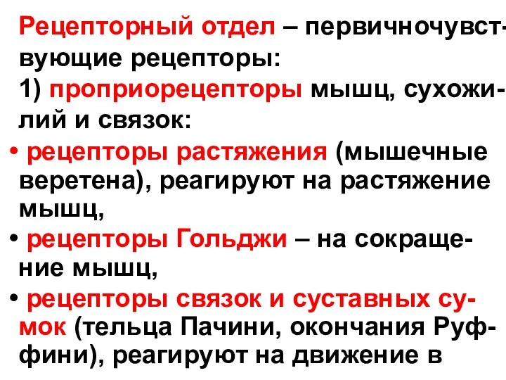 Рецепторный отдел – первичночувст- вующие рецепторы: 1) проприорецепторы мышц, сухожи- лий