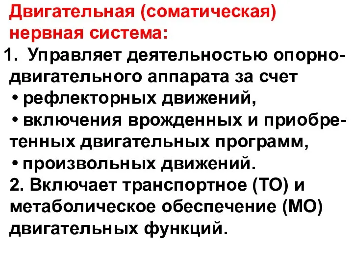 Двигательная (соматическая) нервная система: Управляет деятельностью опорно- двигательного аппарата за счет