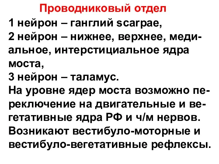 Проводниковый отдел 1 нейрон – ганглий scarpae, 2 нейрон – нижнее,