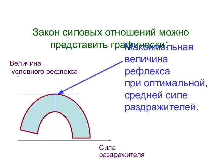 Величина условного рефлекса Сила раздражителя Закон силовых отношений можно представить графически: