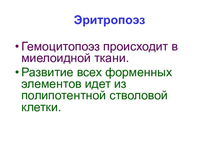 Эритропоэз Гемоцитопоэз происходит в миелоидной ткани. Развитие всех форменных элементов идет из полипотентной стволовой клетки.