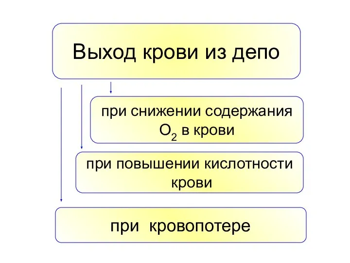 Выход крови из депо при снижении содержания О2 в крови при повышении кислотности крови при кровопотере