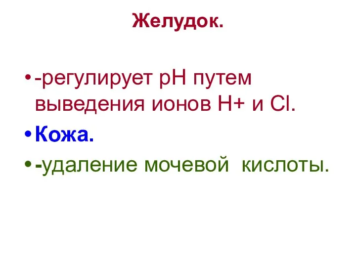 Желудок. -регулирует рН путем выведения ионов Н+ и Cl. Кожа. -удаление мочевой кислоты.