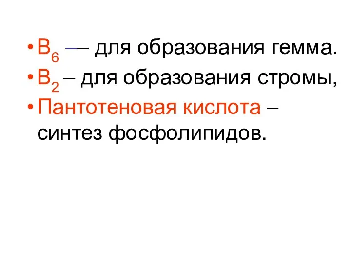 В6 –– для образования гемма. В2 – для образования стромы, Пантотеновая кислота – синтез фосфолипидов.