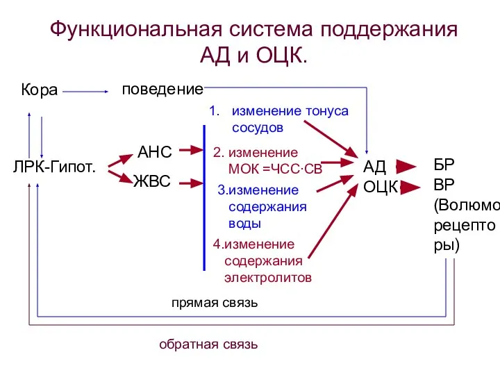 АД ОЦК БР ВР (Волюмо- рецепто ры) ЛРК-Гипот. АНС ЖВС изменение