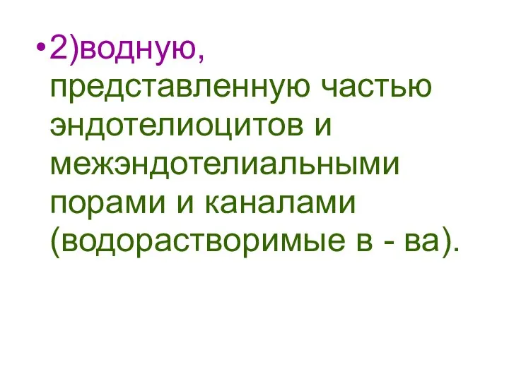 2)водную, представленную частью эндотелиоцитов и межэндотелиальными порами и каналами (водорастворимые в - ва).