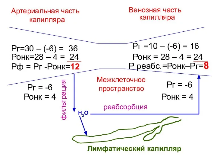 Рг=30 – (-6) = 36 Ронк=28 – 4 = 24 Рг