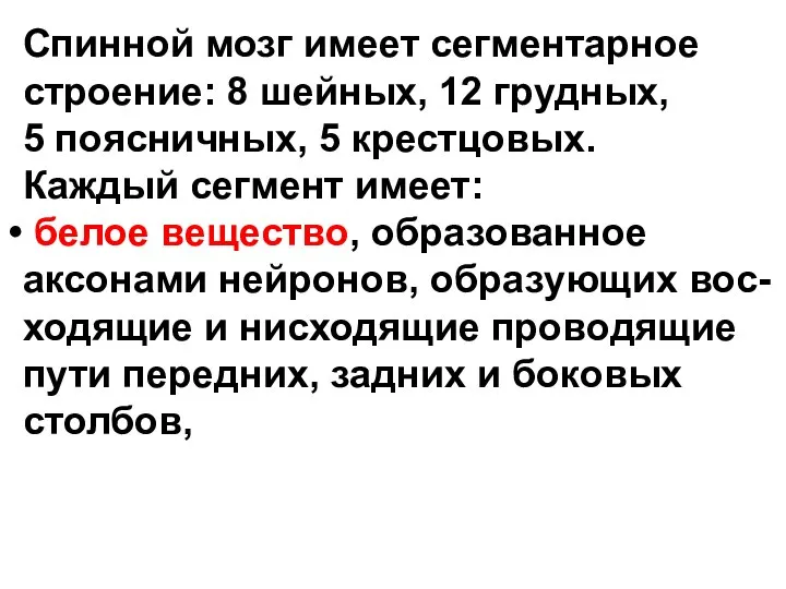 Спинной мозг имеет сегментарное строение: 8 шейных, 12 грудных, 5 поясничных,