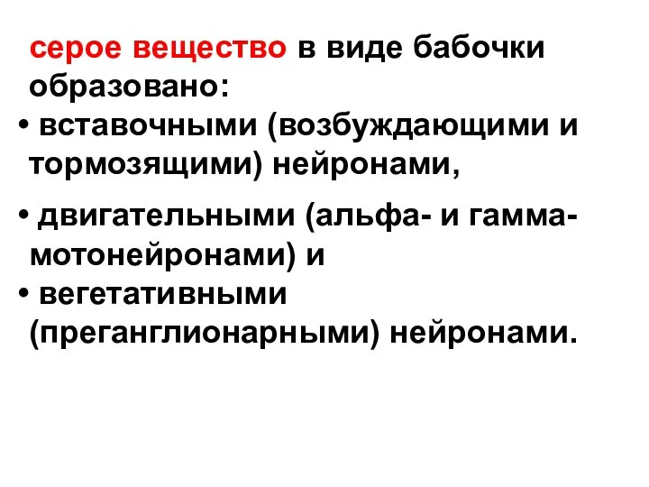 серое вещество в виде бабочки образовано: вставочными (возбуждающими и тормозящими) нейронами,