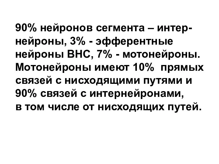 90% нейронов сегмента – интер- нейроны, 3% - эфферентные нейроны ВНС,