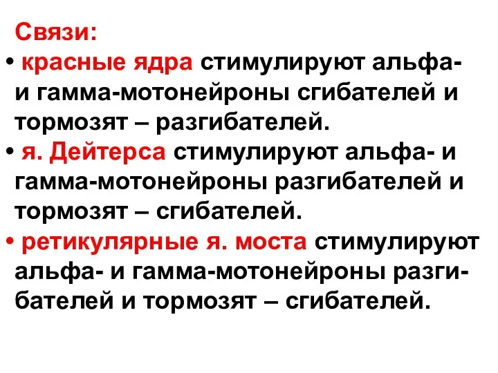 Связи: красные ядра стимулируют альфа- и гамма-мотонейроны сгибателей и тормозят –