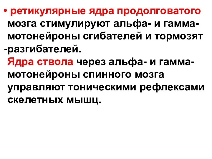 ретикулярные ядра продолговатого мозга стимулируют альфа- и гамма- мотонейроны сгибателей и