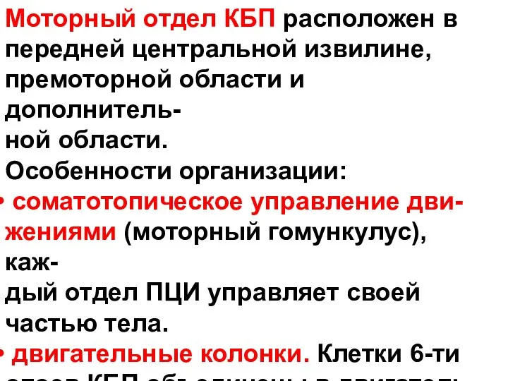 Моторный отдел КБП расположен в передней центральной извилине, премоторной области и