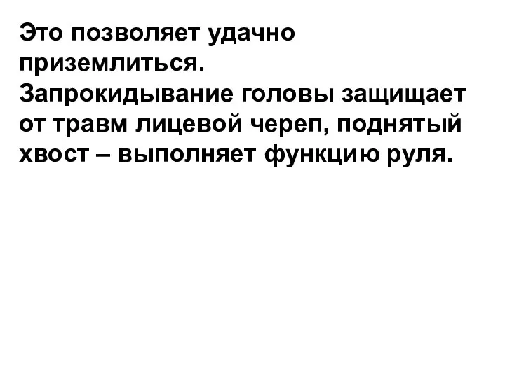 Это позволяет удачно приземлиться. Запрокидывание головы защищает от травм лицевой череп,