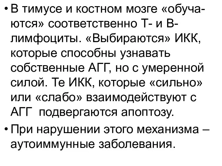 В тимусе и костном мозге «обуча-ются» соответственно Т- и В-лимфоциты. «Выбираются»