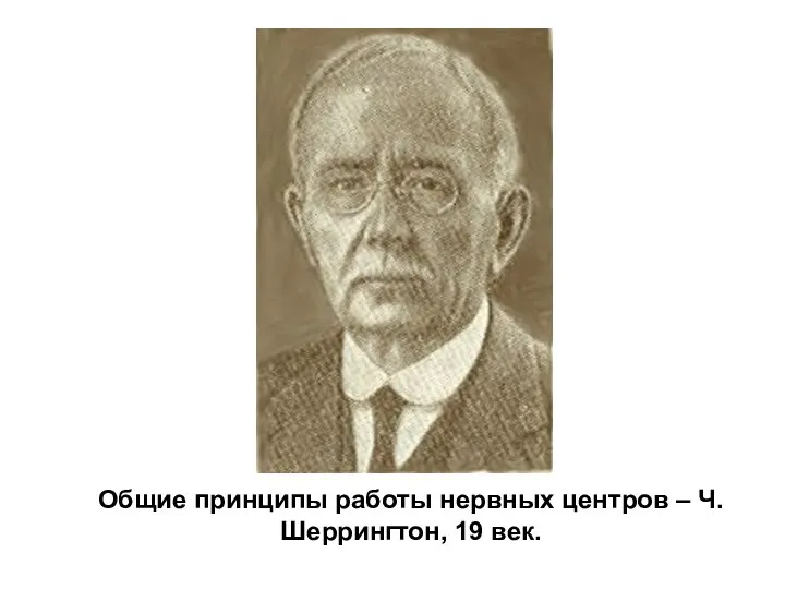 Общие принципы работы нервных центров – Ч.Шеррингтон, 19 век.