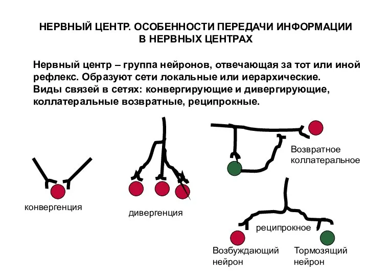 НЕРВНЫЙ ЦЕНТР. ОСОБЕННОСТИ ПЕРЕДАЧИ ИНФОРМАЦИИ В НЕРВНЫХ ЦЕНТРАХ Нервный центр –