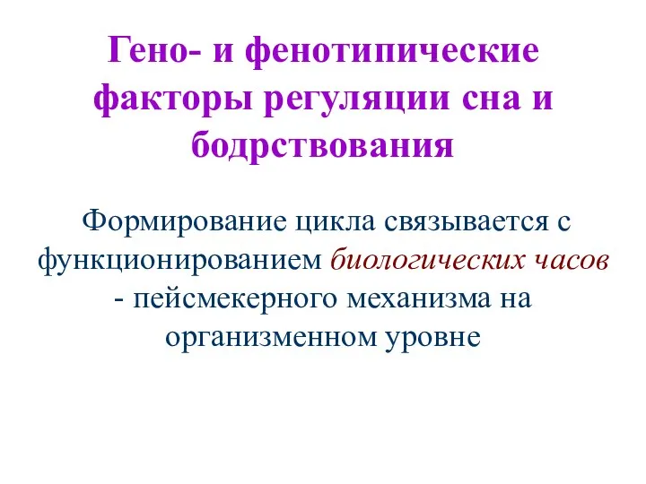 Формирование цикла связывается с функционированием биологических часов - пейсмекерного механизма на