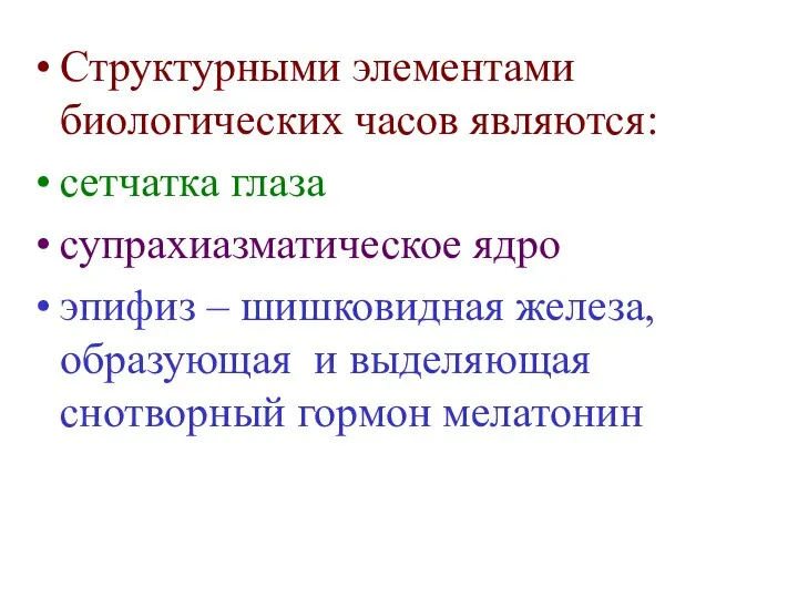 Структурными элементами биологических часов являются: сетчатка глаза супрахиазматическое ядро эпифиз –