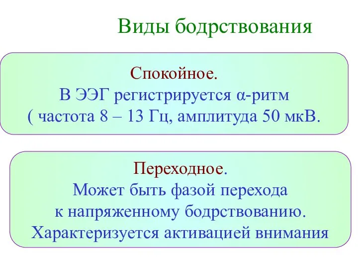 Виды бодрствования Спокойное. В ЭЭГ регистрируется α-ритм ( частота 8 –