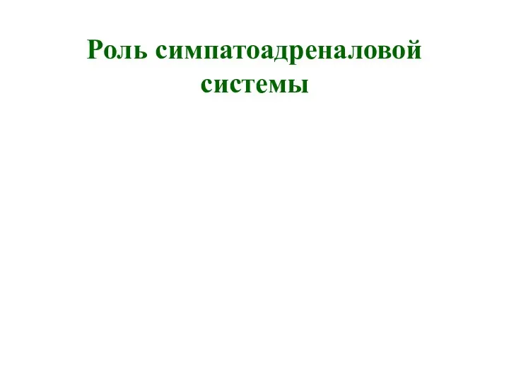 Роль симпатоадреналовой системы