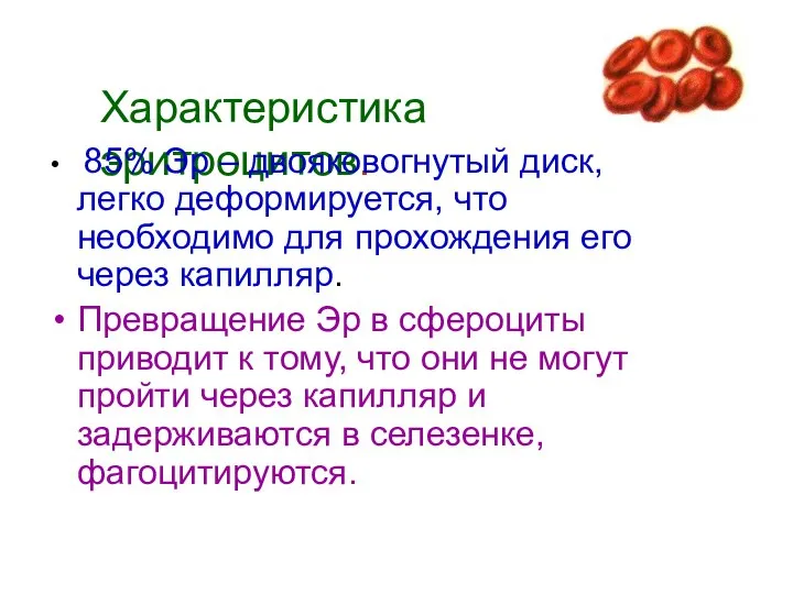 Характеристика эритроцитов. 85% Эр – двояковогнутый диск, легко деформируется, что необходимо