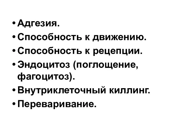 Адгезия. Способность к движению. Способность к рецепции. Эндоцитоз (поглощение, фагоцитоз). Внутриклеточный киллинг. Переваривание.