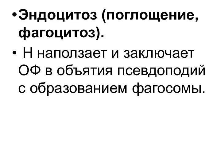 Эндоцитоз (поглощение, фагоцитоз). Н наползает и заключает ОФ в объятия псевдоподий с образованием фагосомы.